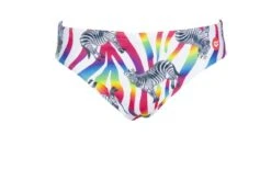 Maillot De Bain Arena Homme Crazy Zebras Brief Multicolor -Maillots Bain Boutique 002908 850 m crazy zebras brief 005 f s